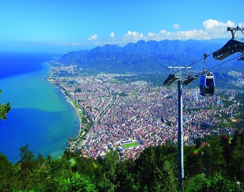 Ordu Website Tasarımı