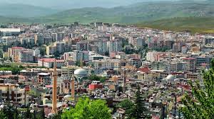 Siirt Website Tasarımı