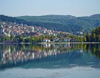Sakarya Website Tasarımı