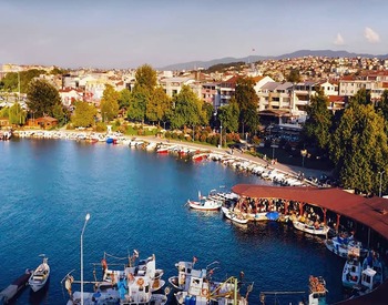 Yalova Website Tasarımı