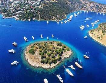 Muğla Website Tasarımı