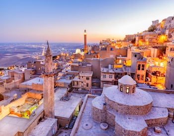 Mardin Website Tasarımı