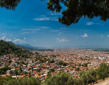 Manisa Website Tasarımı