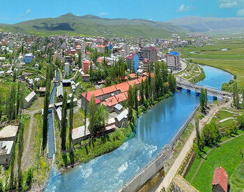 Ardahan Website Tasarımı
