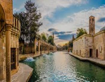 Şanlıurfa Website Tasarımı