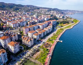 Kocaeli Website Tasarımı