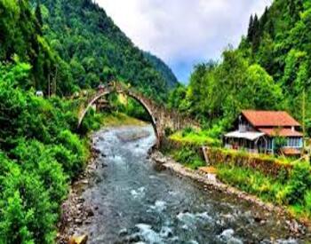 Rize Website Tasarımı