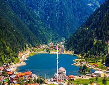 Trabzon Website Tasarımı
