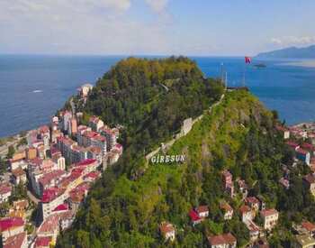 Giresun Website Tasarımı