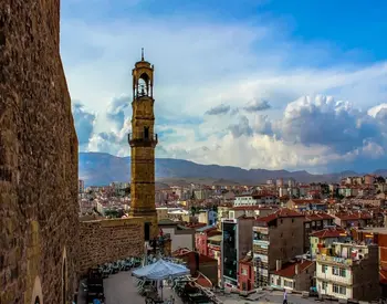 Niğde Website Tasarımı