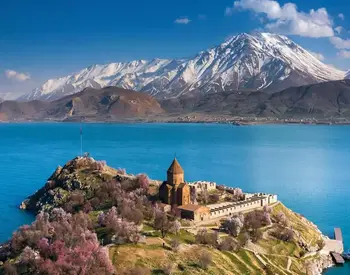 Van Website Tasarımı